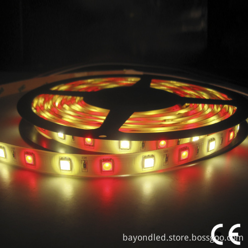 DC 12V Waterproof 5050 RGBW Dimmable LED Strip Light